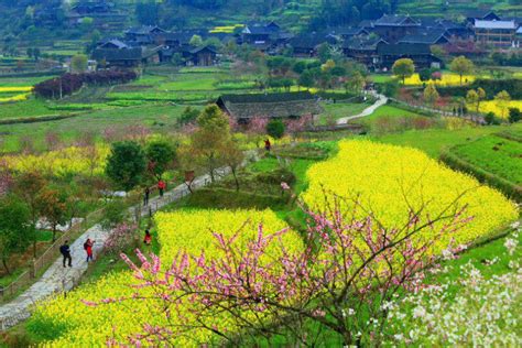 桃花家|桃花源